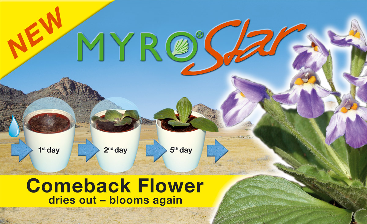 Myro AG