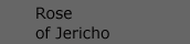 rose_v_jericho
