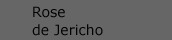 rose_v_jericho