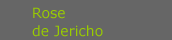 rose_v_jericho